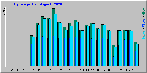 Hourly usage for August 2026